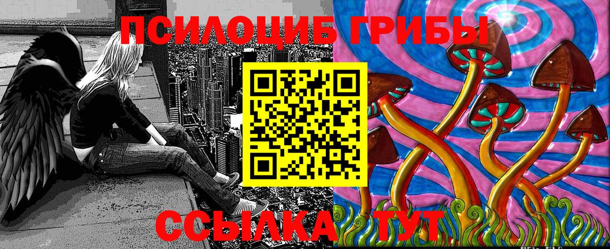 закладки  Вход с VPN  Казань  Псилоцибиновые грибы GOLDEN TEACHER  Галлюциногенные грибы мицелий 