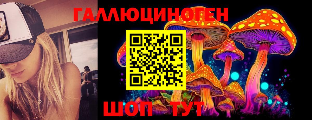 Галлюциногенные грибы прущие грибы Казань
